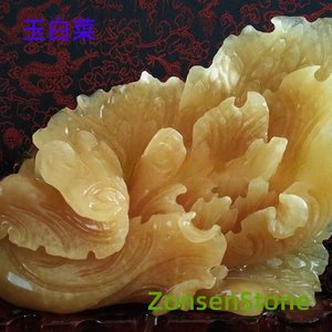 玉白菜