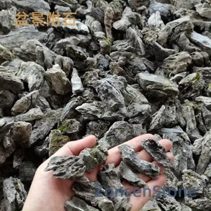 盆景附石