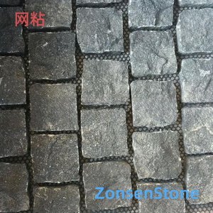 网粘