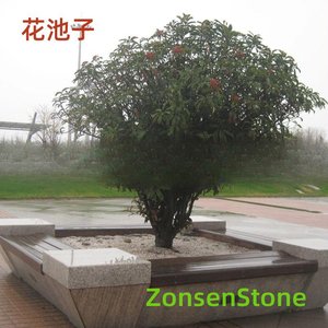 花池子