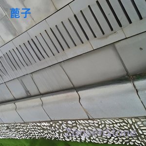 蓖子