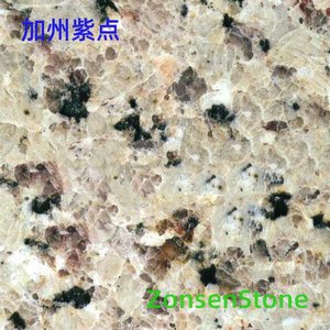加州紫点