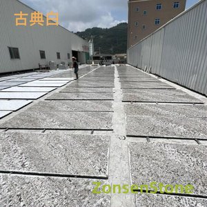 古典白