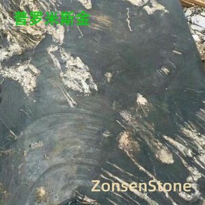 普罗米斯金