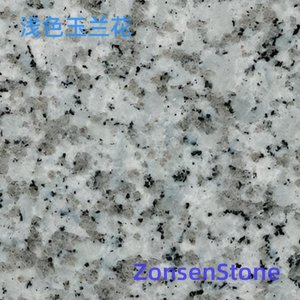 浅色玉兰花