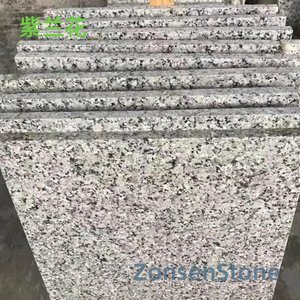 紫兰花