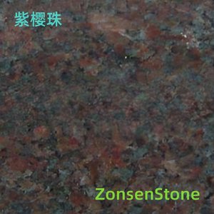 紫樱珠