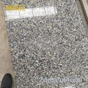 蝴蝶花