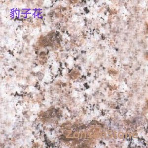 豹子花