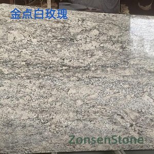 金点白玫瑰