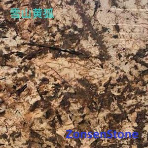雪山黄狐