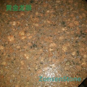 黄金龙眼