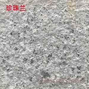 珍珠兰