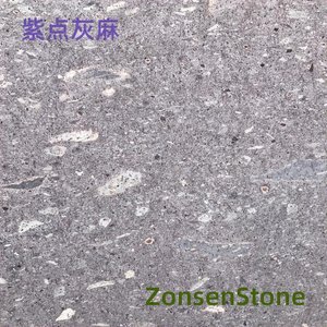 紫点灰麻