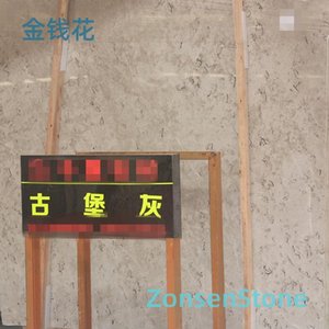 金钱花