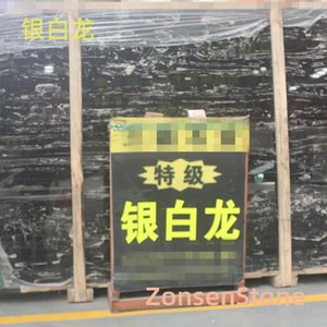 银白龙