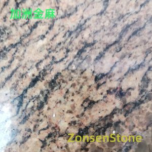加洲金麻