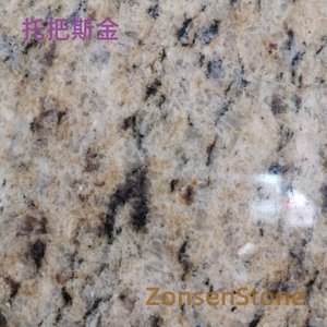 托把斯金