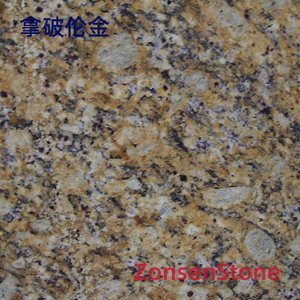 拿破伦金