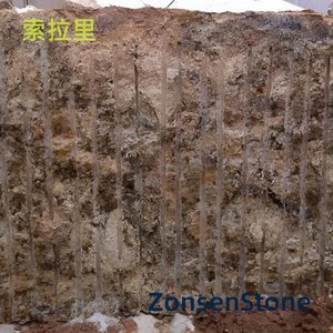 索拉里