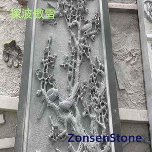 探波傲雪