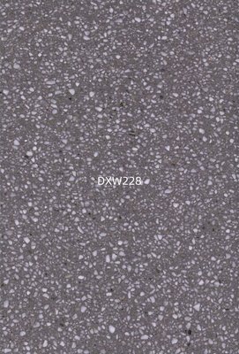 DXW228