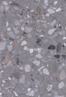 DXW509