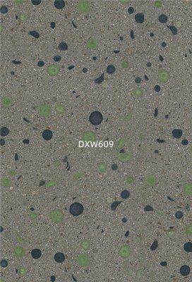 DXW609