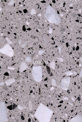 DXW615